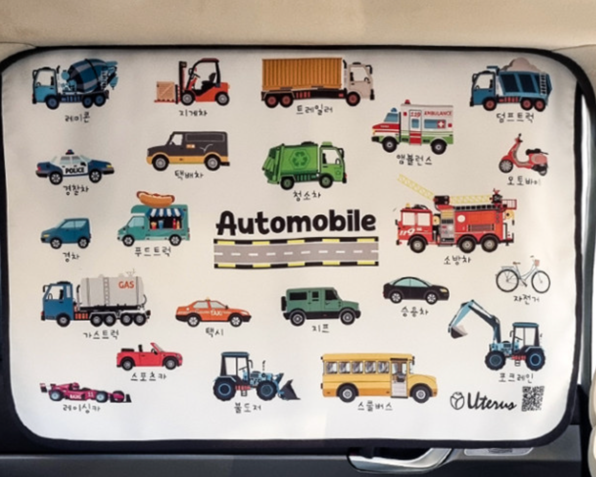 Magnetic Car Window Cover