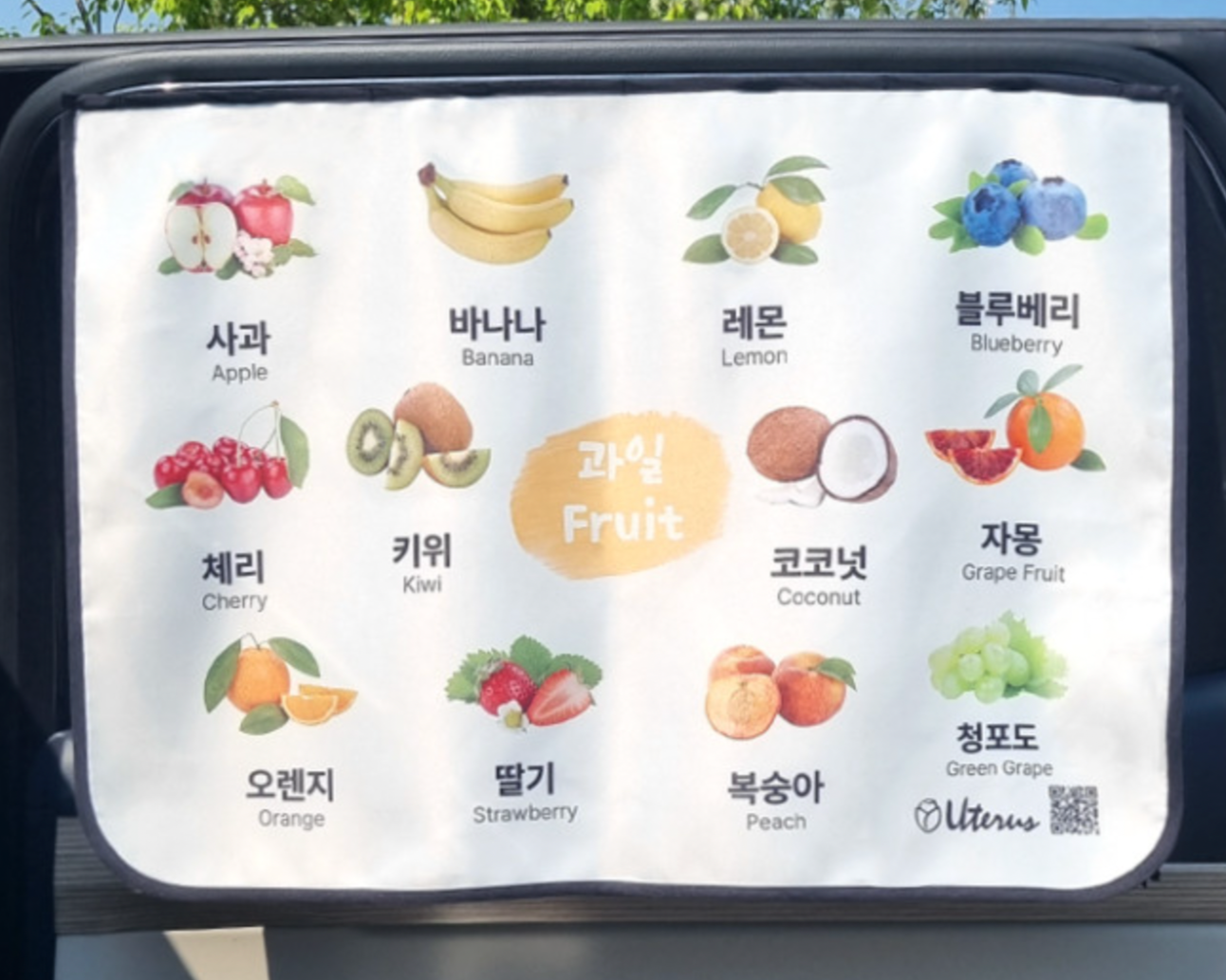Magnetic Car Window Cover