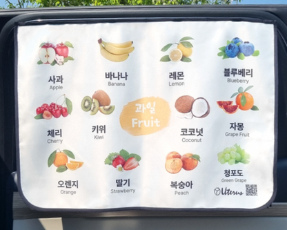 Magnetic Car Window Cover